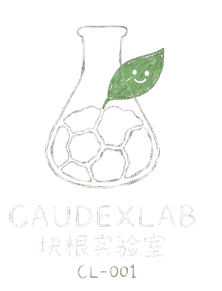 CaudexLab Logo